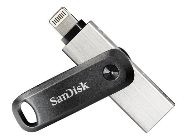 SanDisk SDIX60N-256G-GN6NE - 256 GB - 3.2 Gen 1 (3.1 Gen 1) - Sleeve - 7,2 g - Grigio - Argento