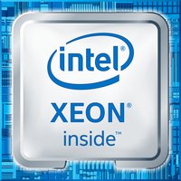 Intel Xeon W-1290T 1,9 GHz - Skt 1200 Comet Lake