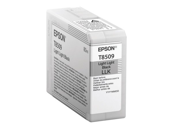 Epson Singlepack Light Light Black T850900 - Inchiostro a base di pigmento - 80 ml - 1 pz