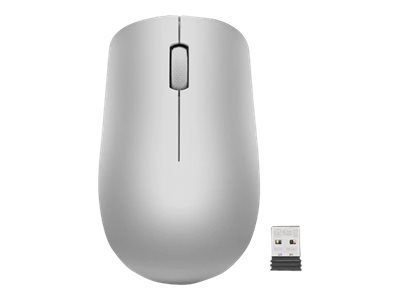 Lenovo 530 - Ambidestro - Ottico - RF Wireless - 1200 DPI - Grigio - Platino