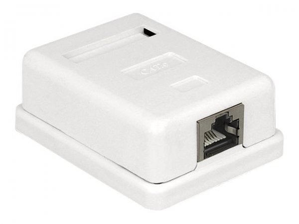 Delock Wanddose - RJ-45 - weiß