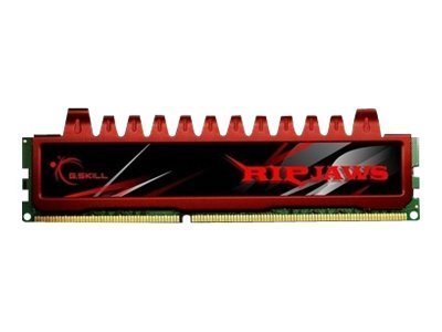 G.Skill F3-10666CL9S-4GBRL - 4 GB - 1 x 4 GB - DDR3 - 1333 MHz - 240-pin DIMM