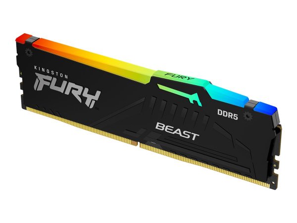 Kingston FURY Beast RGB - 8 GB - 1 x 8 GB - DDR5 - 6000 MHz - 288-pin DIMM