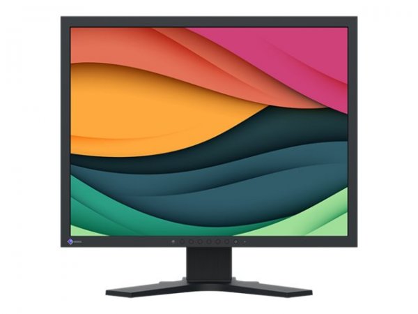 EIZO 21IN 4:3 1600X1200 500 CD/SQM - Schermo piatto (tft/lcd) - IPS