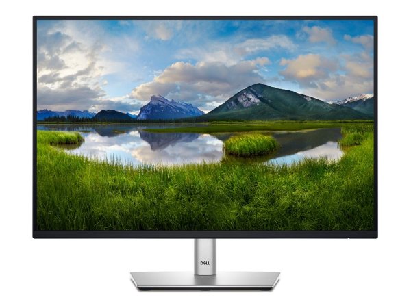 Dell 24 USB-C Hub Monitor - P2425E - Schermo piatto (tft/lcd) - 61,1 cm