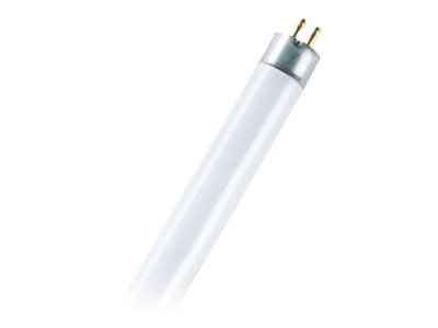 Osram Basic T5 - 8 W - G5 - T5 - 5000 h - 385 lm - Bianco freddo