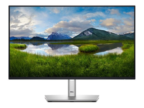 Dell P2425H Monitor 23.8 Zoll 60.47cm