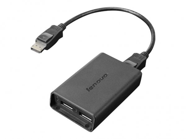 Lenovo M75s - Adattatore - Digitale / display / video 0,2 m