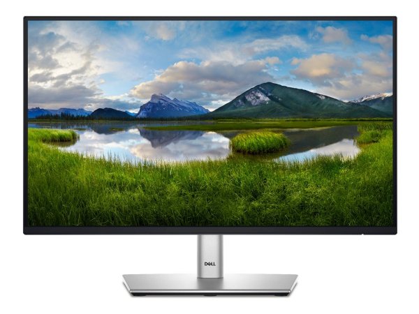 Dell 22 Monitor - P2225H