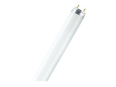 Osram Active Daywhite - 18 W - G13 - 1350 lm