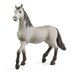 Schleich Farm Life Pura Raza Española Young Horse - 5 anno/i - Ragazzo/Ragazza - Grigio - 1 pezzo(i)