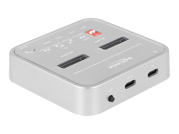 Delock SSD docking station - bays: 2