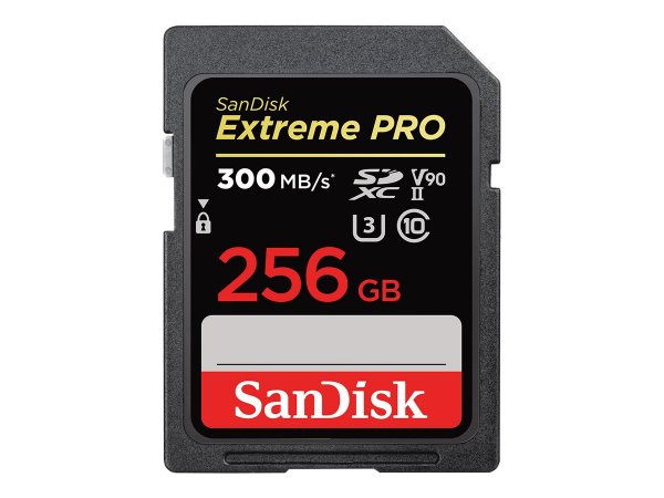 SanDisk Extreme PRO - 256 GB - SDXC - Classe 10 - UHS-II - 300 MB/s - 260 MB/s