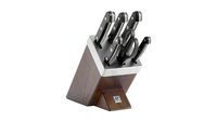 Zwilling Gourmet - Set di coltelli/coltelleria con ceppo - Acciaio inossidabile - Plastica - Legno -