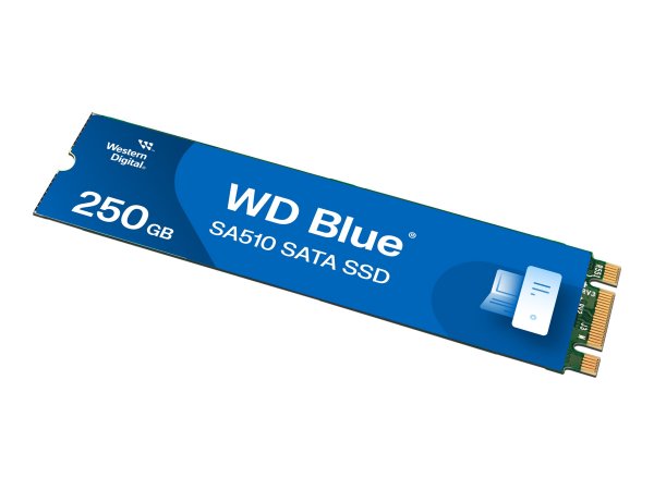 WD Blue SA510 - 250 GB - M.2 - 555 MB/s - 6 Gbit/s