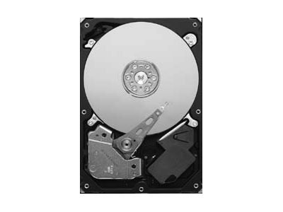 Seagate Pipeline HD ST3320311CS - Festplatte - 320 GB - intern - 3.5" (8.9 cm)