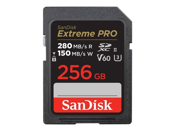 SanDisk SDSDXEP-256G-GN4IN - 256 GB - SDXC - Classe 10 - UHS-II - 280 MB/s - 100 MB/s